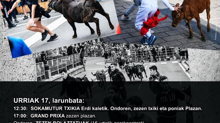 XVII. Zezen Beltz Asteburua
