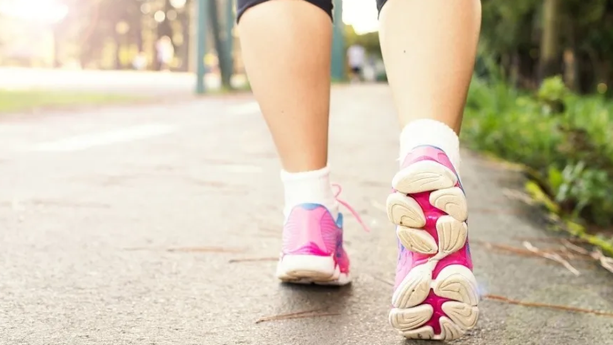 Oriok bat egingo du II. Mugiment Pausu Erronkarekin