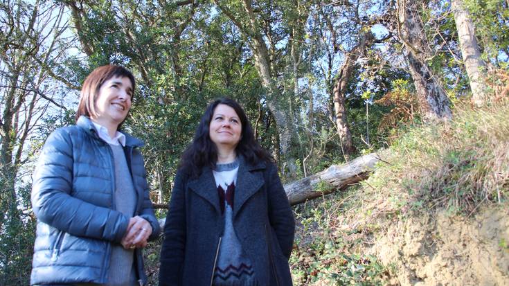 Zarauzko Udalak baso bat erosi du, artelatza zabaltzeko