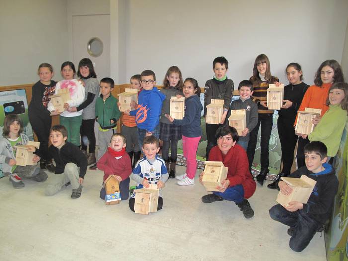 Txorientzako habiak egin dituzte Algorrin