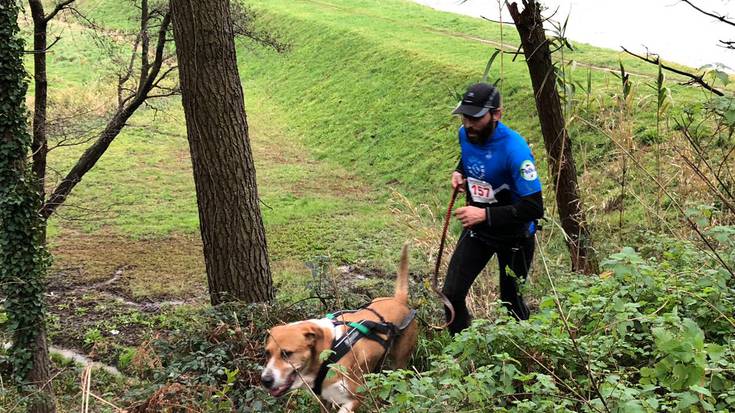 Otsailaren 2an jokatuko dute Zumaiako IX. Txakurkrosa