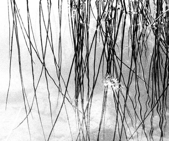 2026ko Argazki Bilera, bihartik aurrera zabalik