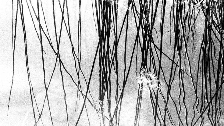 2026ko Argazki Bilera, bihartik aurrera zabalik