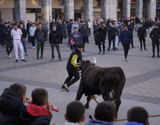 Sansebastianetan ez da sokamuturrik izango; karnabaletan, auskalo