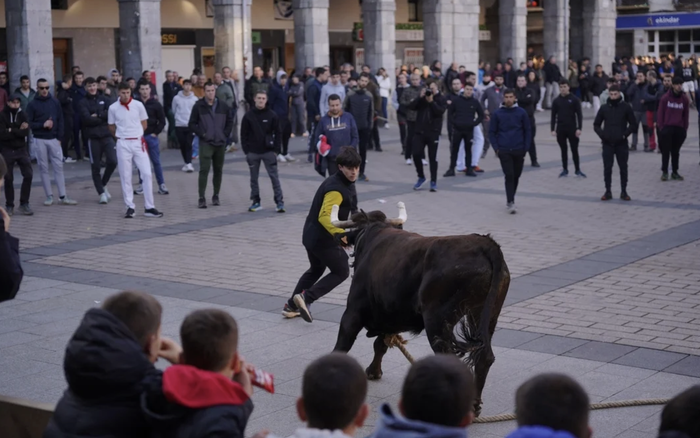 Sansebastianetan ez da sokamuturrik izango; karnabaletan, auskalo