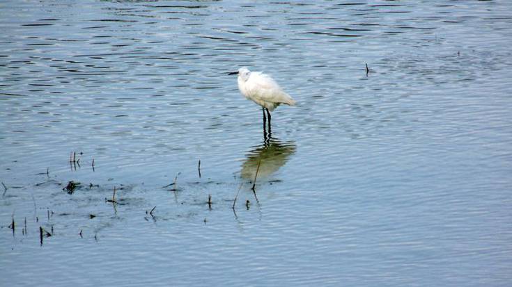 Haurrentzako Udaberri argazki rallya egingo da larunbatean