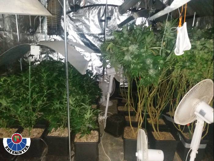 Hiru lagun atxilotu dituzte Aian, droga trafikoa egotzita