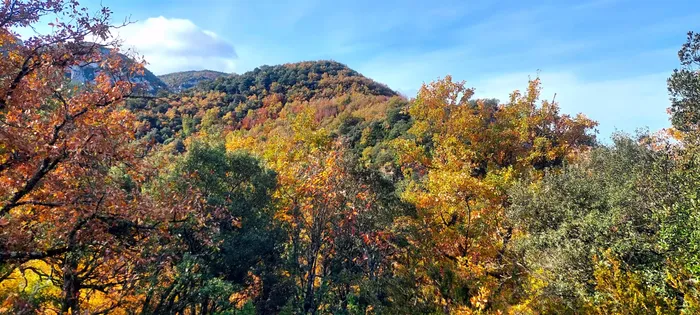 Lasaon bertako basoa berreskuratzeko proiektua "zapuztu" izana egotzi dio Lurgaiak aldundiari