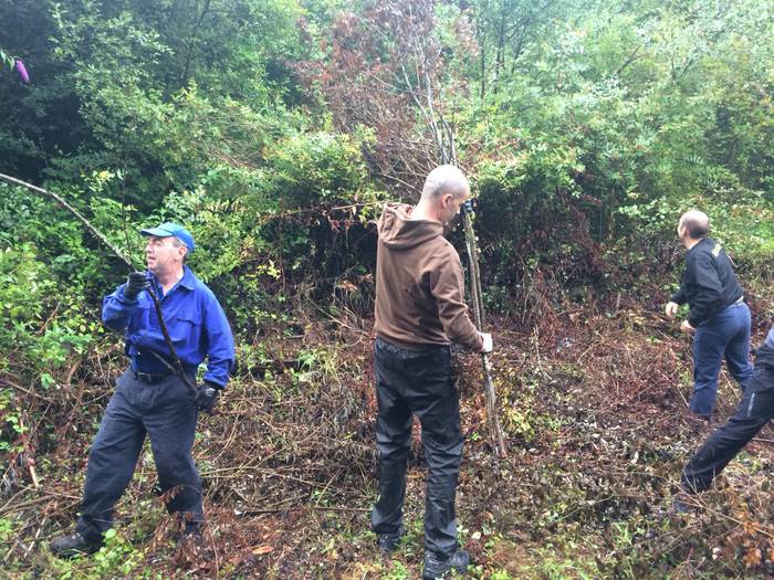 Bidea egiten, auzolanean