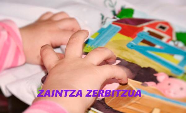 Zaintza zerbitzuko lan poltsa ireki dute Aizarnazabalen