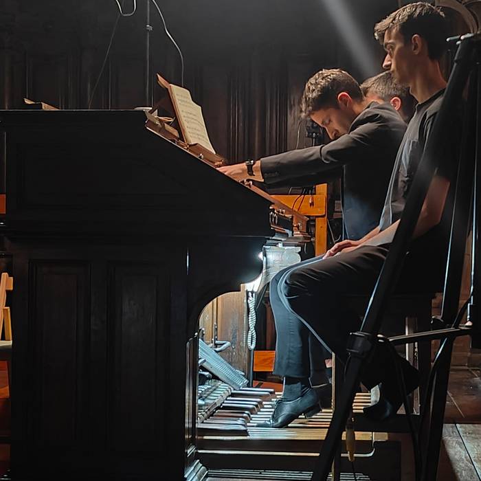 Mikel Ansola organistak Organoak Plazara egitasmoko kontzertua eskaini du