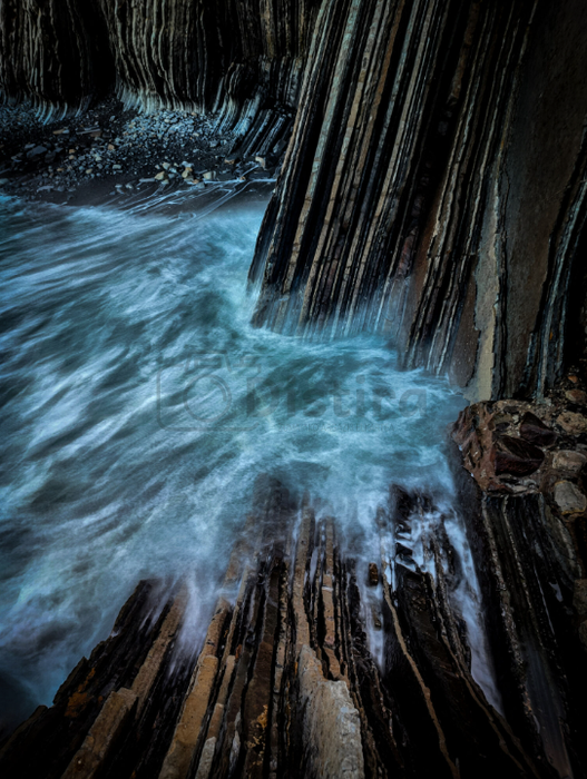 Ivan Rodriguezek irabazi du Distiraren urtarrileko lehiaketa soziala