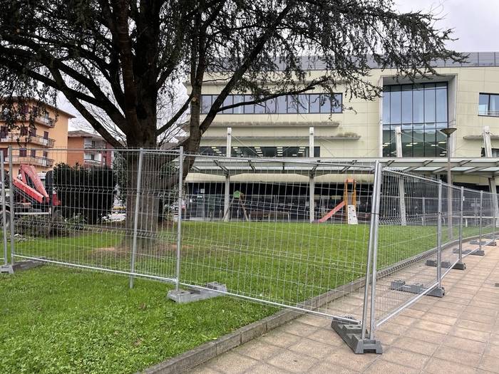 Berdegunea hesituta, estalkia handitzeko