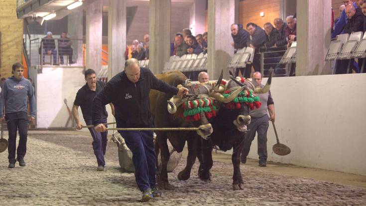 Isidro Erretegiak eta Urtiak idi dema apustua jokatuko dute maiatzaren 5ean