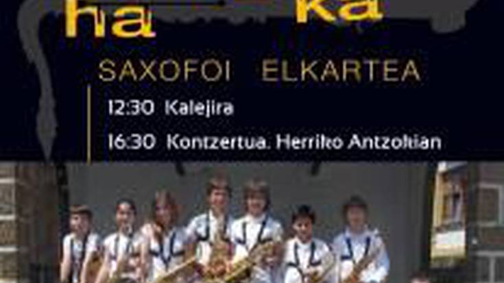 Txori Txikiko saxofoi ikasleak Elgoibarko topaketan izango dira, larunbatean