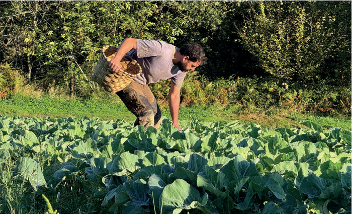 Bertatik bertara eta garaian garaikoa