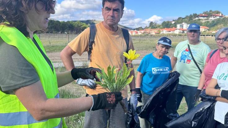 "Santiagoko landare inbaditzaileak erauzteko proiektua luzera begirakoa da"