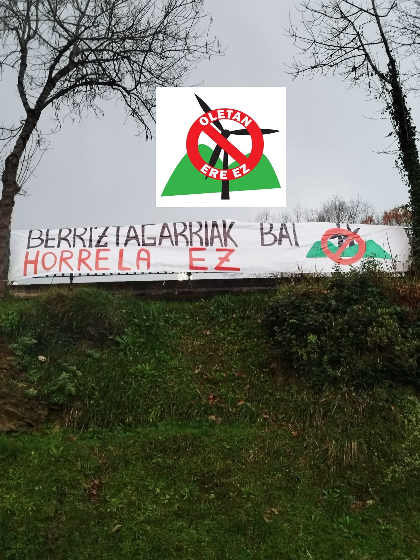 Oleta-Izazpi zentral eolikoaren aurka alegazioak egiteko indarrak batzen