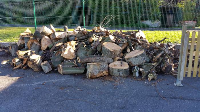 Kimaketan moztutako egurra herritarren eskura izango da Garbigunean