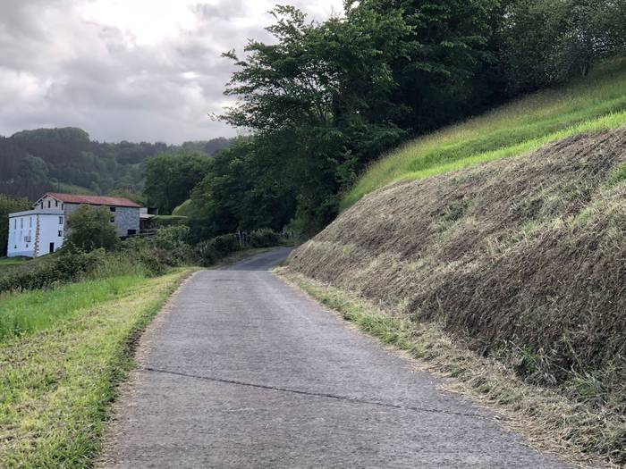 Udalak landa bideetako bazterrak garbituko ditu udaberri honetan