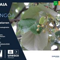 Sendabelarrei buruzko tailerra