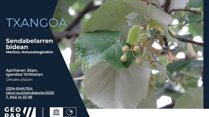 Sendabelarrei buruzko tailerra