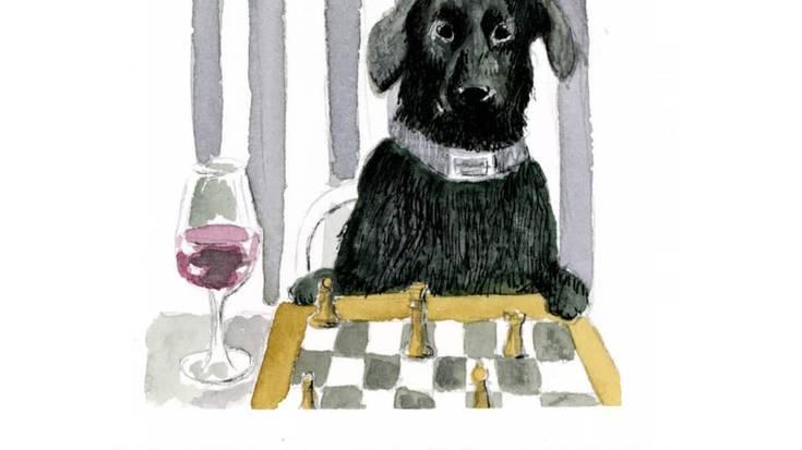 Kabiko xake txapelketa