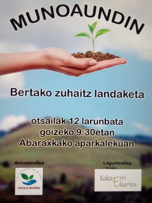 Zuhaitz landaketa