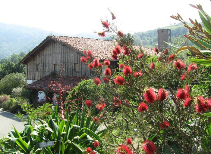 Sendabelarren jakintza gogora