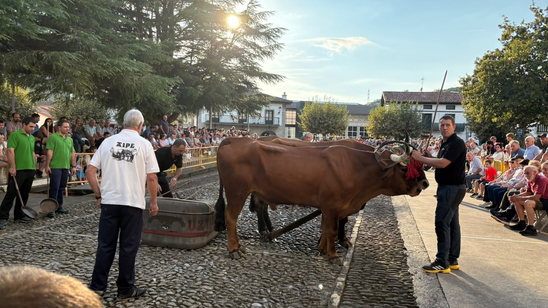 Inaxio Mari Etxabe omendu du Aizarnazabalgo Probazale Elkarteak, 20. urtemugan