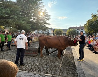 Inaxio Mari Etxabe omendu du Aizarnazabalgo Probazale Elkarteak, 20. urtemugan