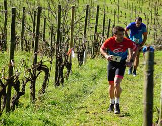 Igande honetan jokatuko dute Mahasti Krosa