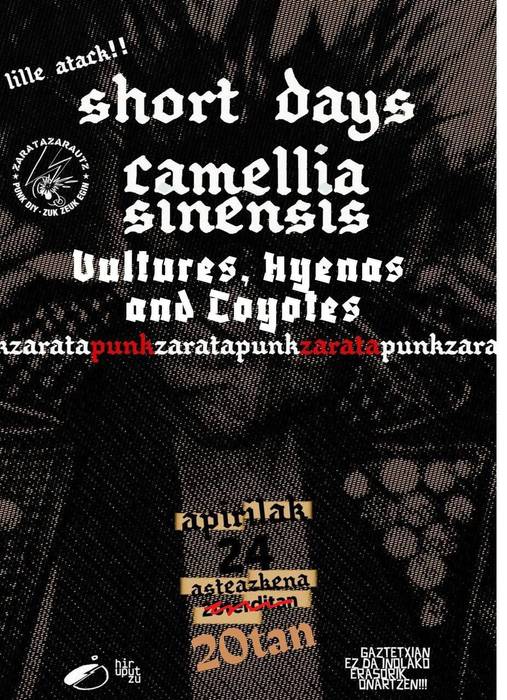 Kontzertuak: Short Days, Camellia Sinensis eta Vultures, Hyenas and Coyotes