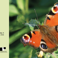 Erakusketa: Jokin Izarren 'Gertutik'