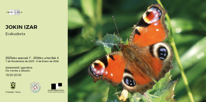 Erakusketa: Jokin Izarren 'Gertutik'