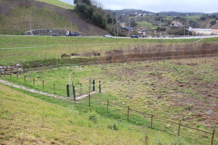 Txakurrentzako sei gune egokitu dituzte Zarautzen