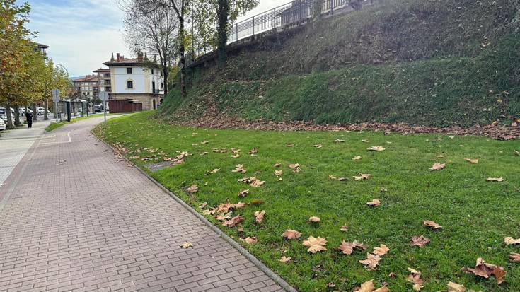 Azkoitia Bai EAJren kezkei erantzunez