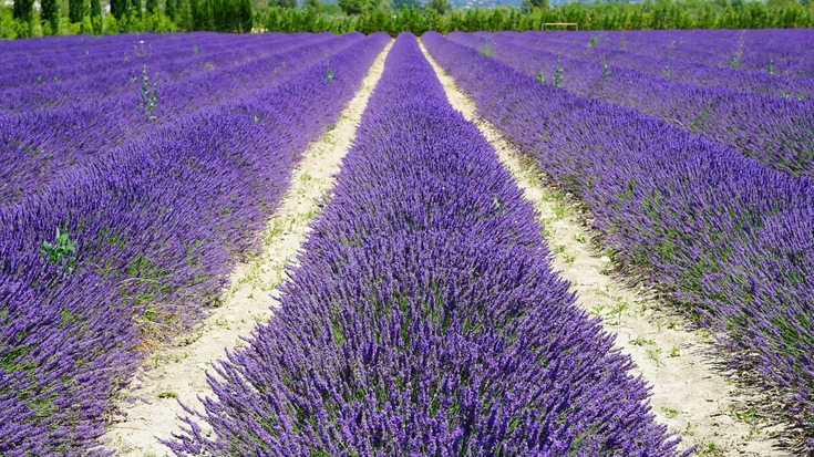 Datorren udarako Kroaziara eta Frantziara bi bidaia antolatu ditu Baigerak