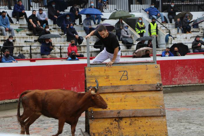 Euskal Herriko ganadutegien eta errekortarien lehia izango da Azpeitian uztailaren 11n