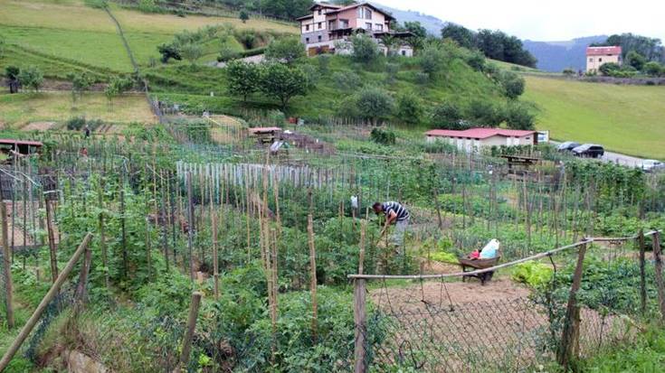 Baratzezaintza aholkularitza saioak egingo dituzte datozen bi asteetan