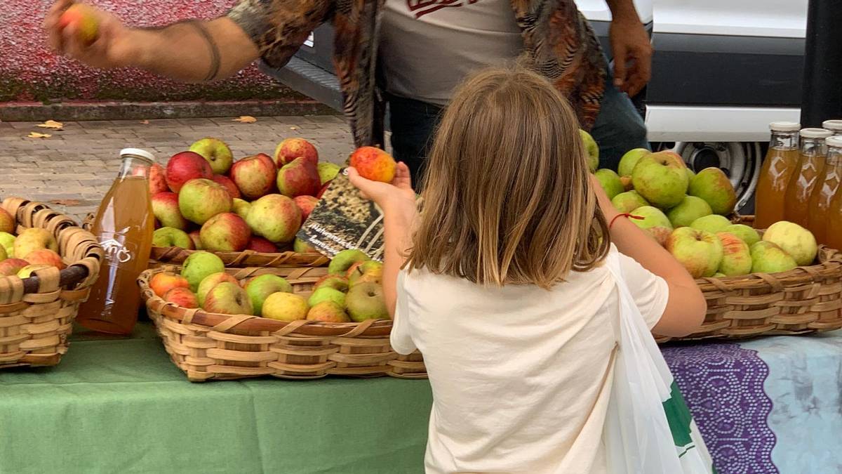 Elikagai ekologikoen azoka egingo dute ostiralean