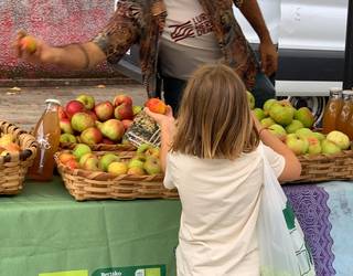 Udako azoka ekologikoa egingo dute bihar Beheko plazan