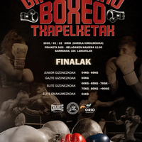 Gipuzkoako boxeo txapelketako finalak