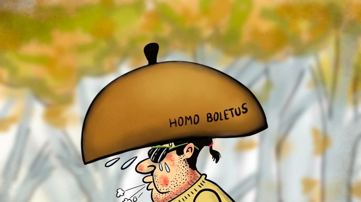 'Homo boletus ridiculus'