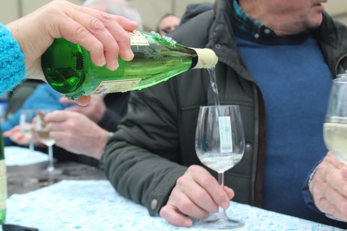 Udaberri Festa antolatu du Blai txakolindegiak larunbaterako