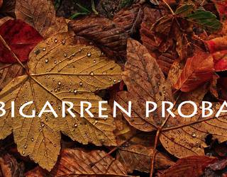 2025eko Orbel Jokoak: bigarren asteko galderak