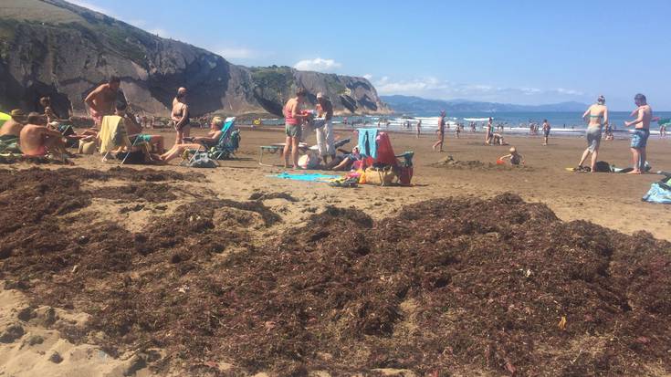 Itzurungo Kronika I (I diot, ze guztiok ditugu hainbat, idatzi zurea!)