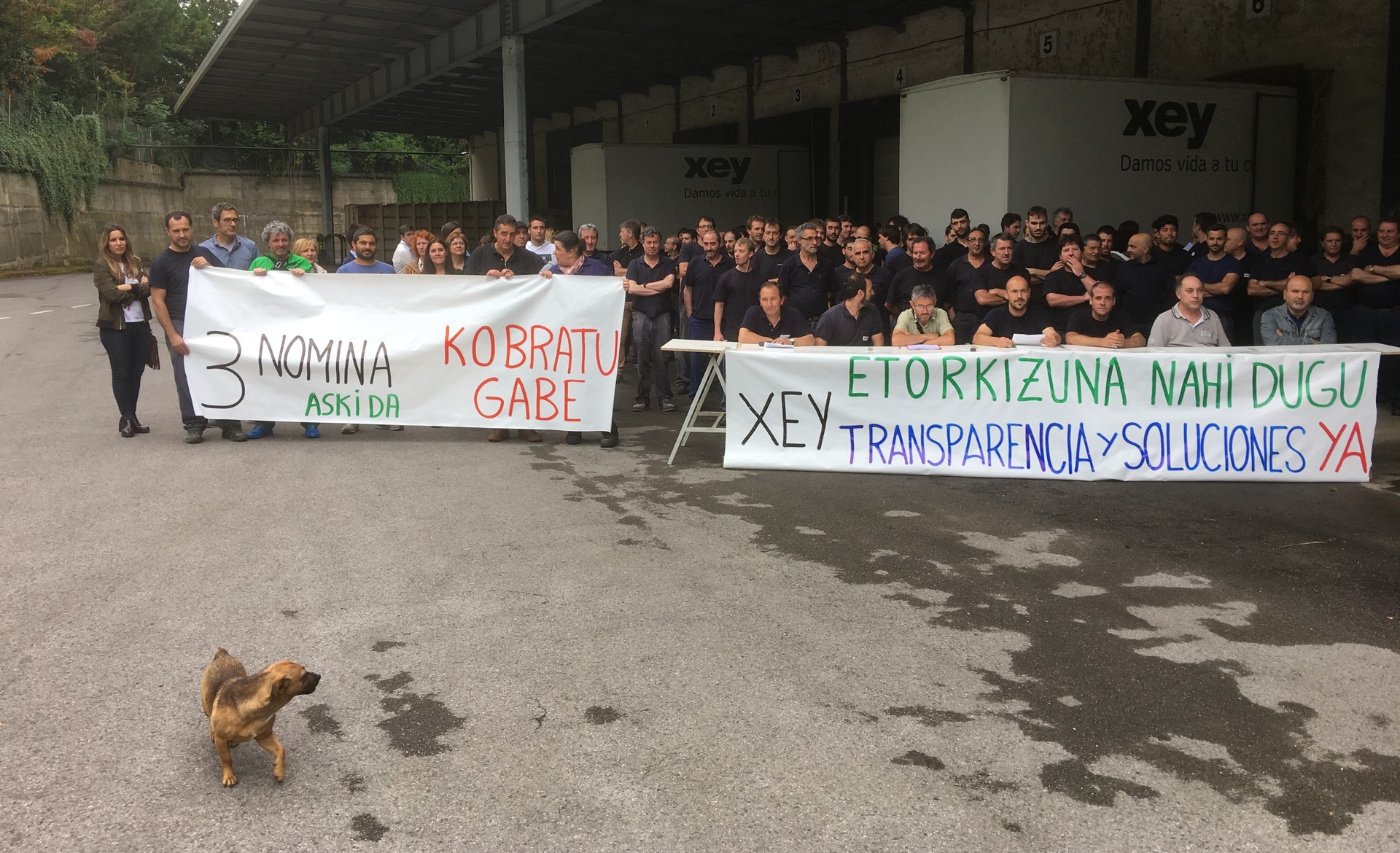 Xey ixteko txostena aurkeztuko du zuzendaritzak