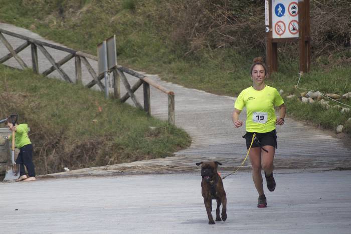 Animaliei buruzko ordenantzan aldaketak egin ditu Udalak