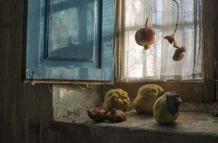 Emilia Valenciak 'Gauza xumeen xarma' erakusketa izango du hizpide Photomuseumen